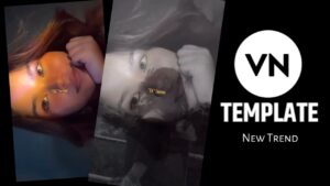 Lae Dooba Song Vn Code 2025