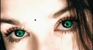 Snake Clip VN Template QR Code 2026